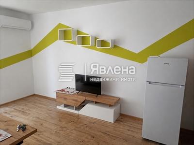 стая