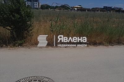 Пътя