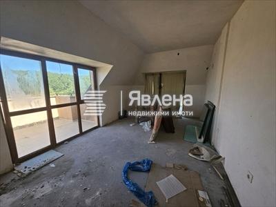 стая
