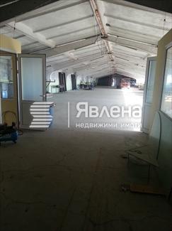 Хале 1.2