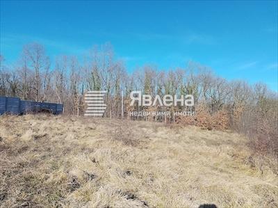 парцел