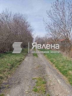 стабилизирана улица