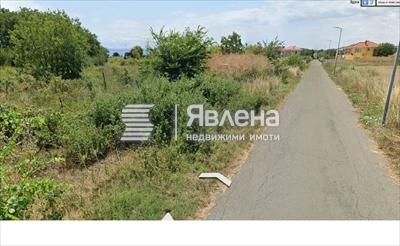 лахана