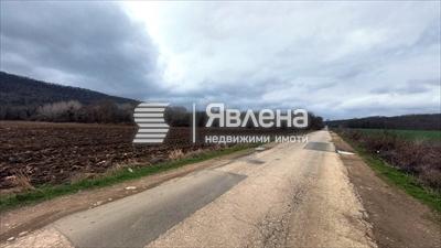 лице на път