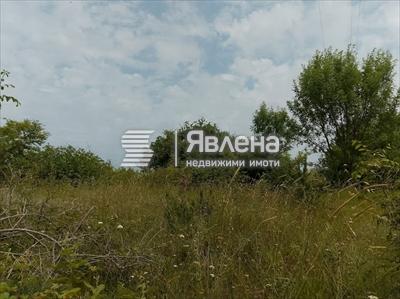 парцел