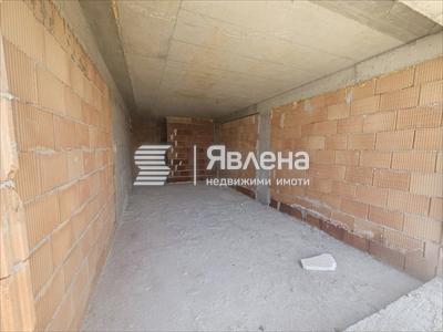 стая