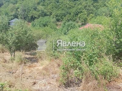 парцел