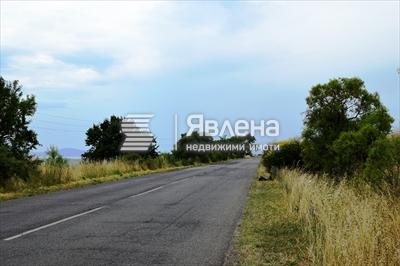 лице на път