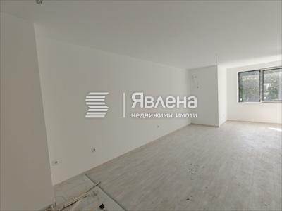 дневна 1