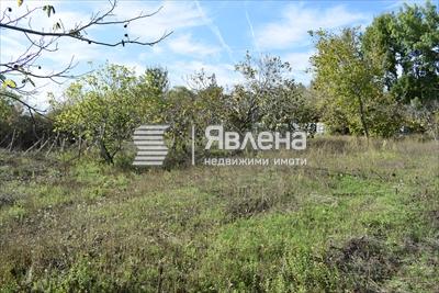 парцел