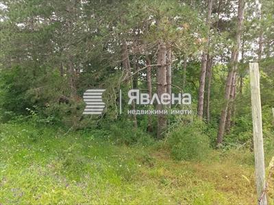 имот