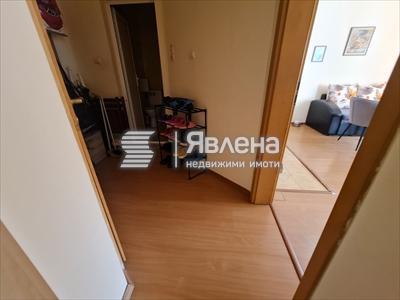 входно антре