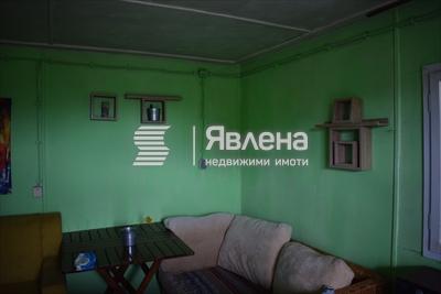 стая