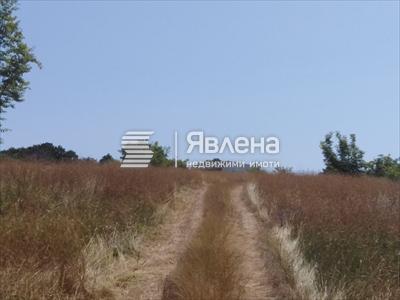 район