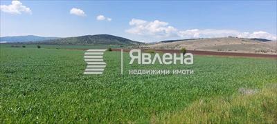 с. Друган, общ. Радомир