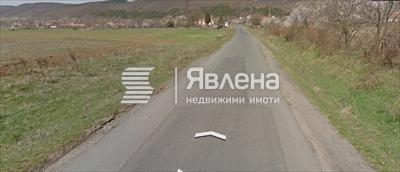 лице на път