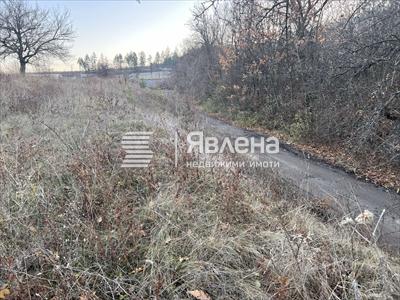 път