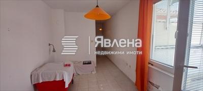 стая