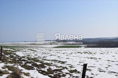 панорама