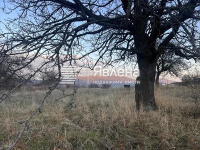 парцел