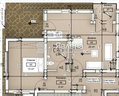 разпределение