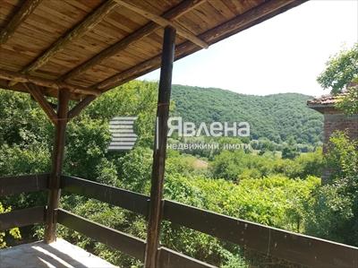 панорама