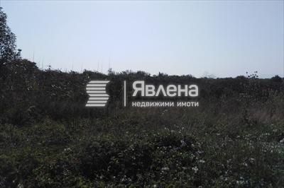 парцела