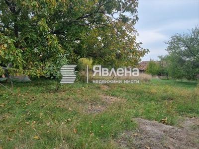 парцел