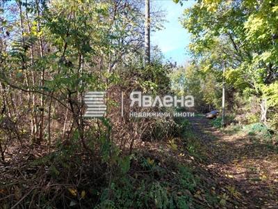 достъп до парцела