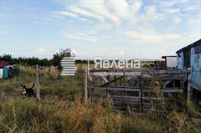 Лице на парцела