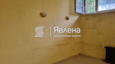 стая