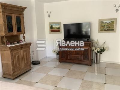 в дневната