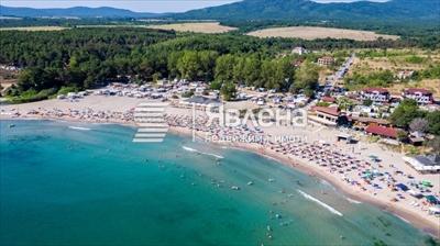Арапя