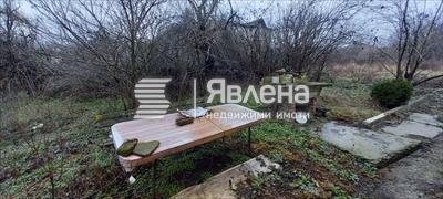 двор