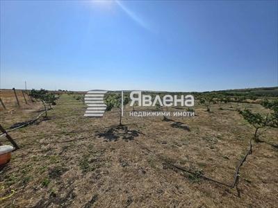 лешникова градина