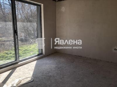 Стая