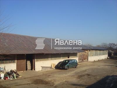 хале