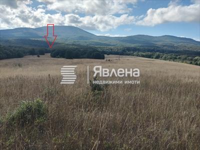 местоположение