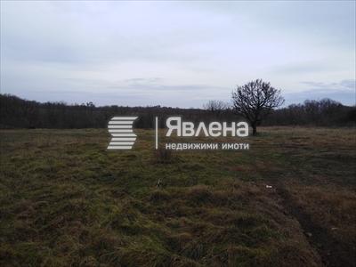 парцел