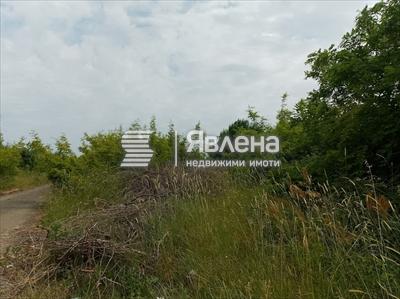 парцел