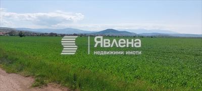 с. Друган