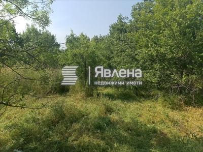 парцел