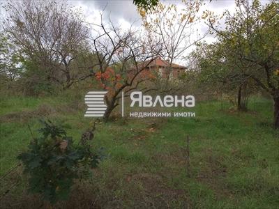 имот