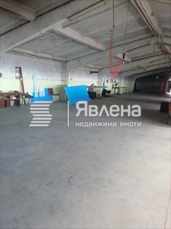Хале 1.1