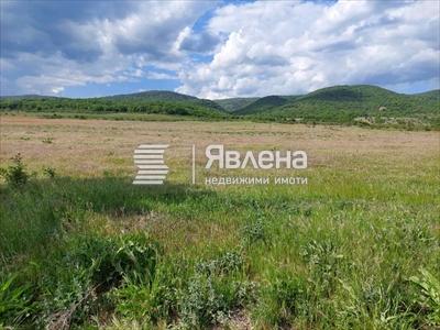 район
