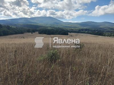 местоположение
