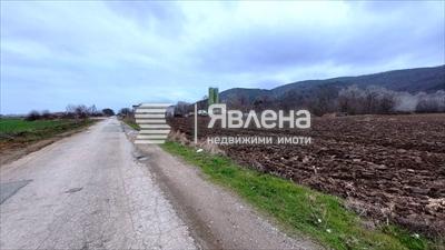 лице на път