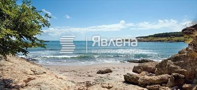 Арапя