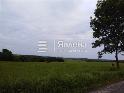 Фазаново