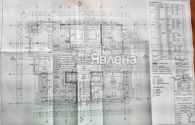 разпределение